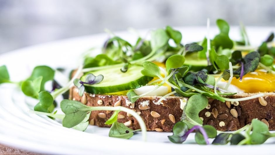 Plated quick tuna salad recipe healthy